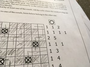 A section of my Double Coral solution, highlighting my notation.